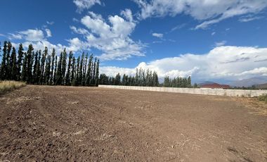 Parcela 5.000 mts2 - Rinconada Los Andes