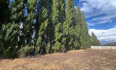 Parcela 5.000 mts2 - Rinconada Los Andes
