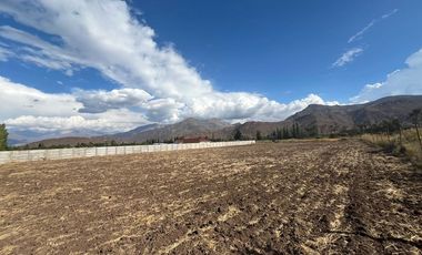 Parcela 5.000 mts2 - Rinconada Los Andes