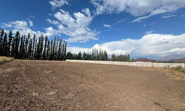 Parcela 5.000 mts2 - Rinconada Los Andes
