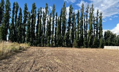 Parcela 5.000 mts2 - Rinconada Los Andes