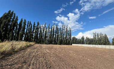 Parcela 5.000 mts2 - Rinconada Los Andes