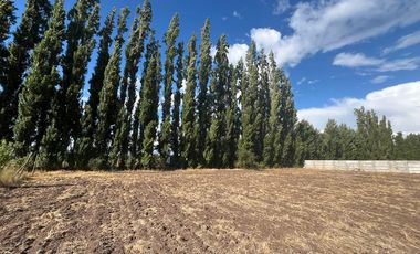 Parcela 5.000 mts2 - Rinconada Los Andes