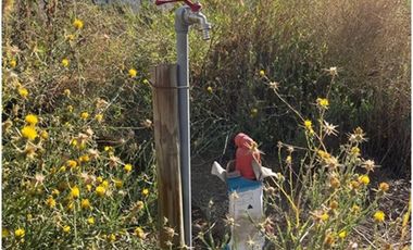 Parcela 5.000 mts2 - Rinconada Los Andes