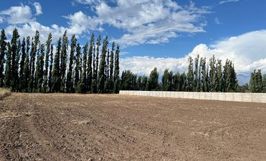 Parcela 5.000 mts2 - Rinconada Los Andes