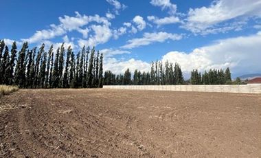 Parcela 5.000 mts2 - Rinconada Los Andes