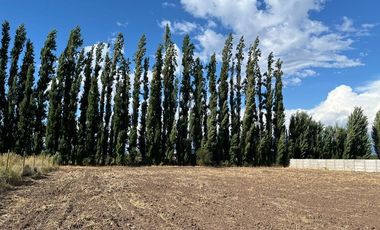 Parcela 5.000 mts2 - Rinconada Los Andes