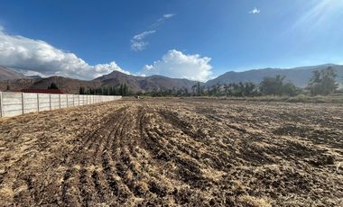 Parcela 5.000 mts2 - Rinconada Los Andes