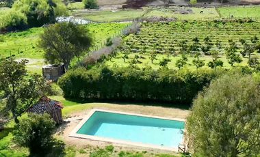 Oportunidad! 2 HECTÁREAS Parcela Agro-Residencial