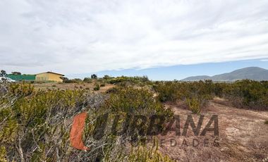 PARCELA SECTOR PORTAL DE GUANAQUEROS