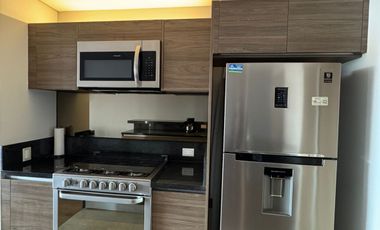 Departamento Renta, High Park Sur, 2 Recámaras