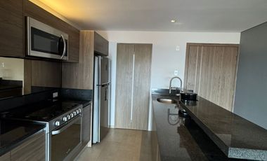 Departamento Renta, High Park Sur, 2 Recámaras