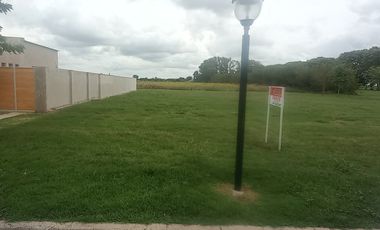 VENDE TERRENO EN SOLDINI