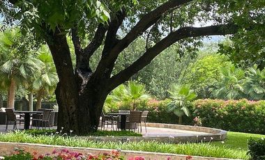 DEPARTAMENTO EN RENTA EN SERENA GREEN LIVING