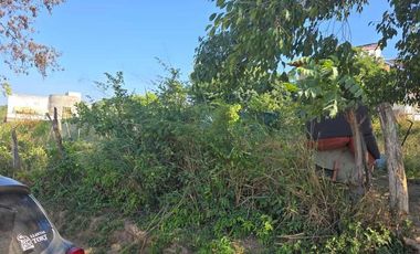 Lote Mina II