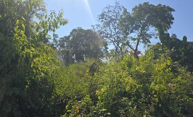 Lote Mina II