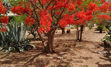 CASA CAMPESTRE LOS SAUCES LEON VENTA