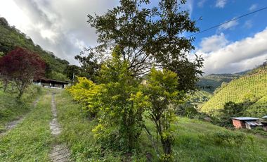 Fincas Venta Apía Risaralda