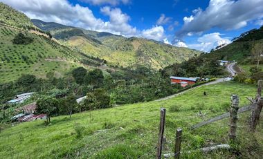 Fincas Venta Apía Risaralda