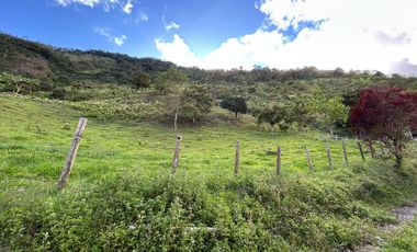 Fincas Venta Apía Risaralda