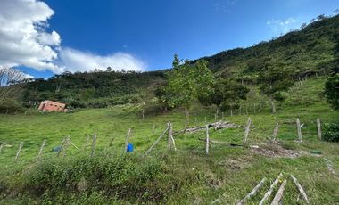 Fincas Venta Apía Risaralda