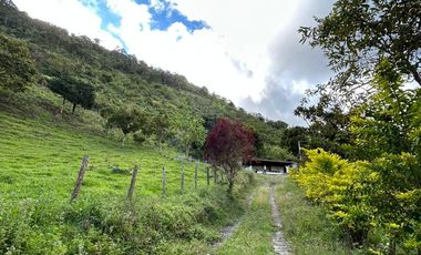 Fincas Venta Apía Risaralda