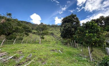 Fincas Venta Apía Risaralda