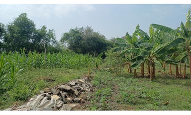 FINCA EN VENTA - BUCHITOLO -CANDELARIA REF: 8461947