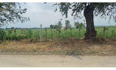 FINCA EN VENTA - BUCHITOLO -CANDELARIA REF: 8461947