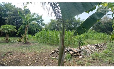 FINCA EN VENTA - BUCHITOLO -CANDELARIA REF: 8461947