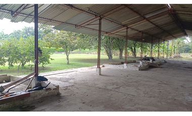 FINCA EN VENTA - BUCHITOLO -CANDELARIA REF: 8461947
