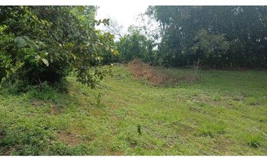 FINCA EN VENTA - BUCHITOLO -CANDELARIA REF: 8461947