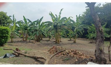 FINCA EN VENTA - BUCHITOLO -CANDELARIA REF: 8461947