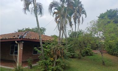 FINCA EN VENTA - BUCHITOLO -CANDELARIA REF: 8461947