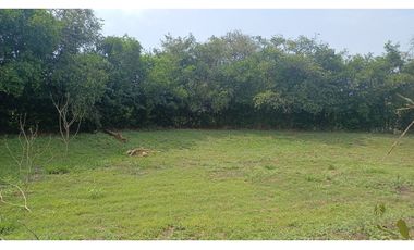 FINCA EN VENTA - BUCHITOLO -CANDELARIA REF: 8461947