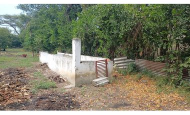 FINCA EN VENTA - BUCHITOLO -CANDELARIA REF: 8461947