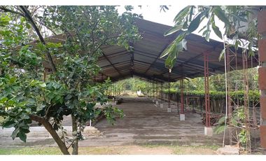 FINCA EN VENTA - BUCHITOLO -CANDELARIA REF: 8461947