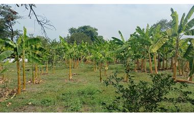 FINCA EN VENTA - BUCHITOLO -CANDELARIA REF: 8461947