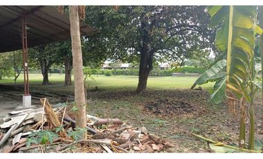 FINCA EN VENTA - BUCHITOLO -CANDELARIA REF: 8461947