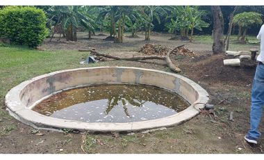 FINCA EN VENTA - BUCHITOLO -CANDELARIA REF: 8461947