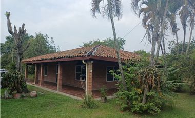 FINCA EN VENTA - BUCHITOLO -CANDELARIA REF: 8461947