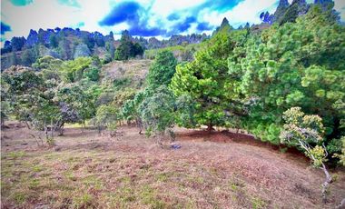VENTA ESPECTACULAR LOTE EN PARCELACIÓN GUARNE