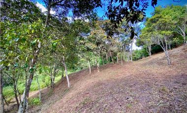 VENTA ESPECTACULAR LOTE EN PARCELACIÓN GUARNE
