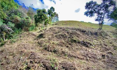 VENTA ESPECTACULAR LOTE EN PARCELACIÓN GUARNE