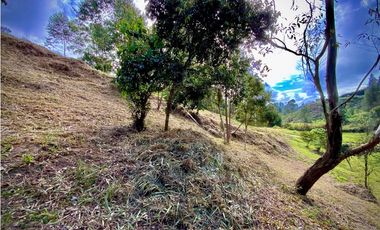 VENTA ESPECTACULAR LOTE EN PARCELACIÓN GUARNE