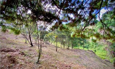 VENTA ESPECTACULAR LOTE EN PARCELACIÓN GUARNE