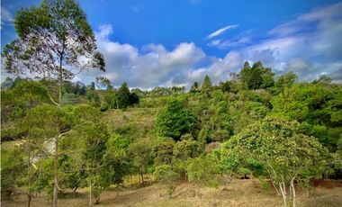 VENTA ESPECTACULAR LOTE EN PARCELACIÓN GUARNE