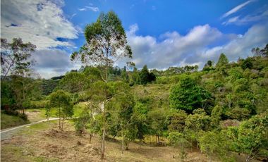 VENTA ESPECTACULAR LOTE EN PARCELACIÓN GUARNE