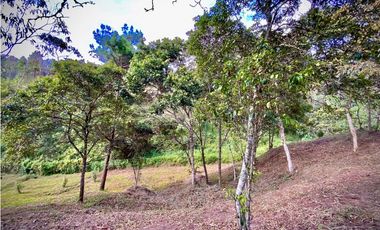 VENTA ESPECTACULAR LOTE EN PARCELACIÓN GUARNE