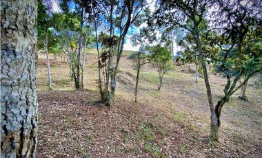 VENTA ESPECTACULAR LOTE EN PARCELACIÓN GUARNE